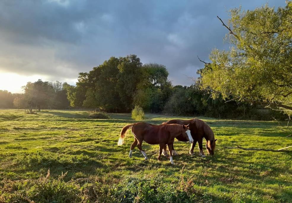 Hébergement de vacances En Bord De Loire