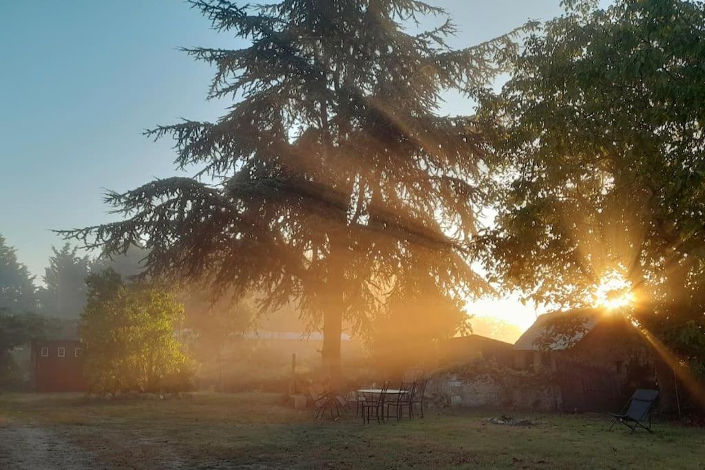Hébergement de vacances En Bord De Loire Blaison-Saint-Sulpice