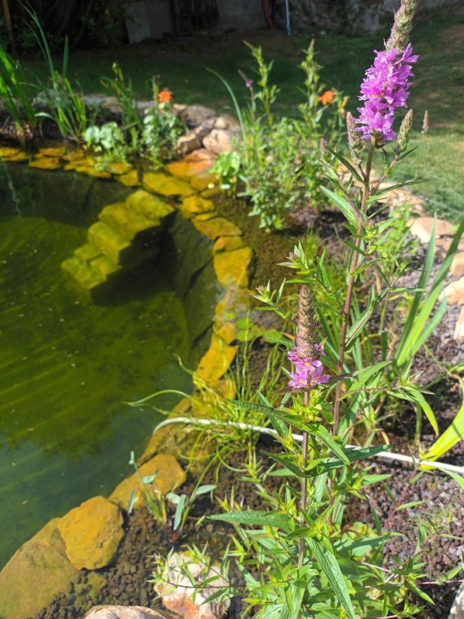 Hébergement de vacances En Bord De Loire Blaison-Saint-Sulpice